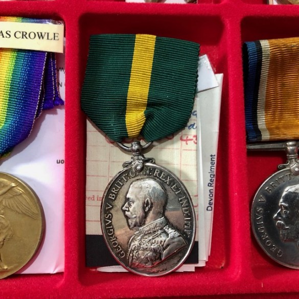 Terrortorial Efficiency Medal Powell